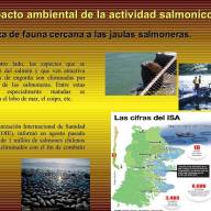 Los sistemas productivos industriales de pesca en algunas zonas de Galicia están destruyendo el hábitat del marisco y de los peces con la permisividad de Rosa Quintana 